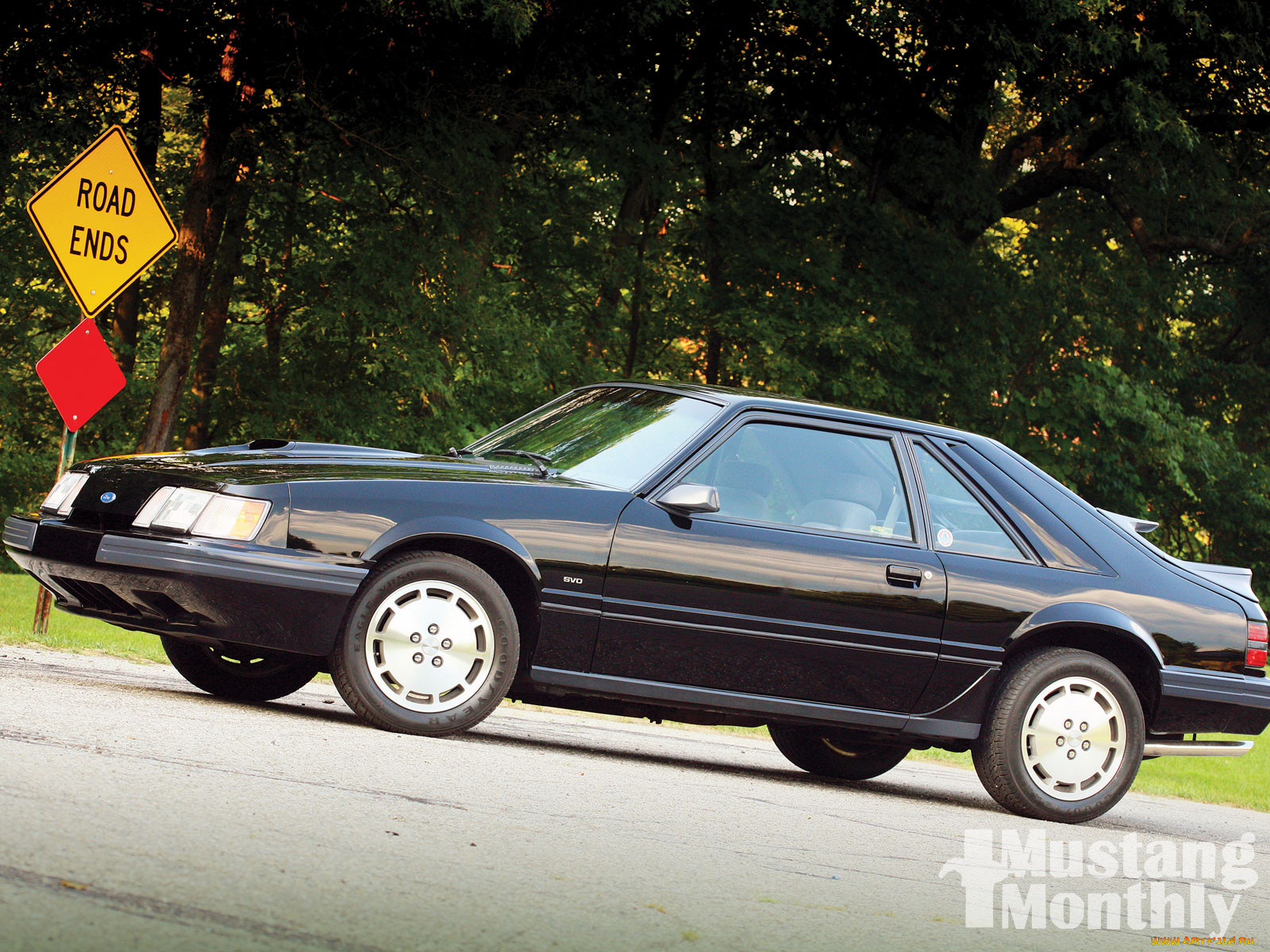 , mustang